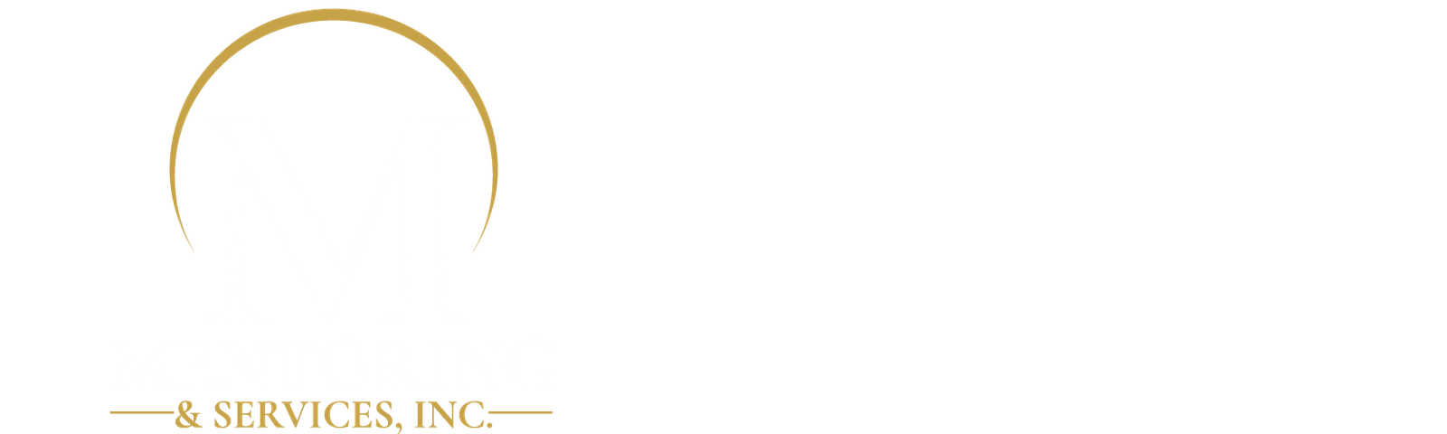 Mentoring & Services Inc. Logo